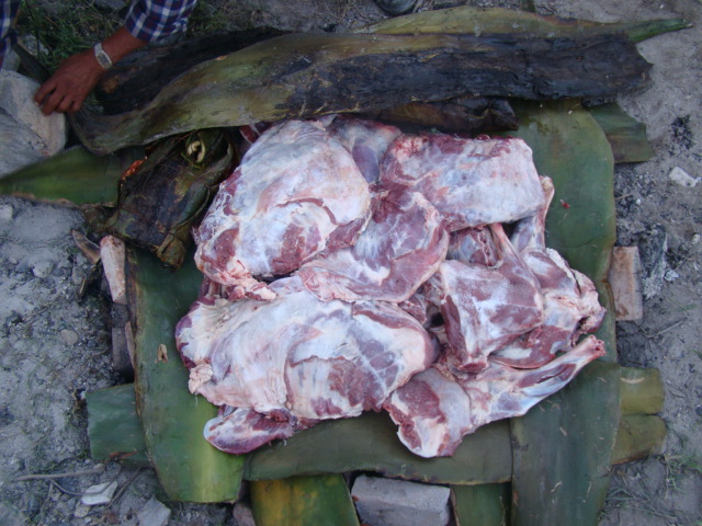 [BARBACOA] Lamb Barbacoa