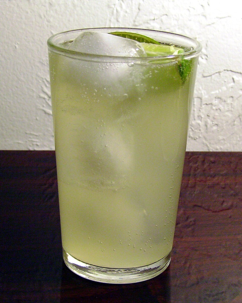 [PALOMA] Hibiscus Paloma
