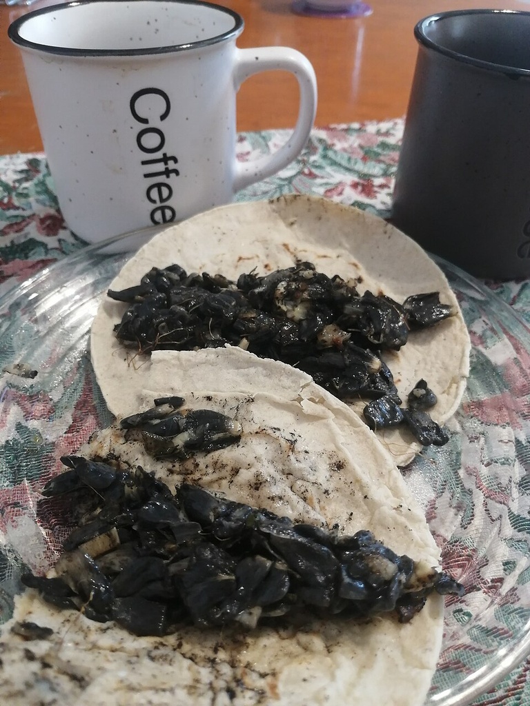 [TACO_HONGO] Tacos de Huitlacoche (3)